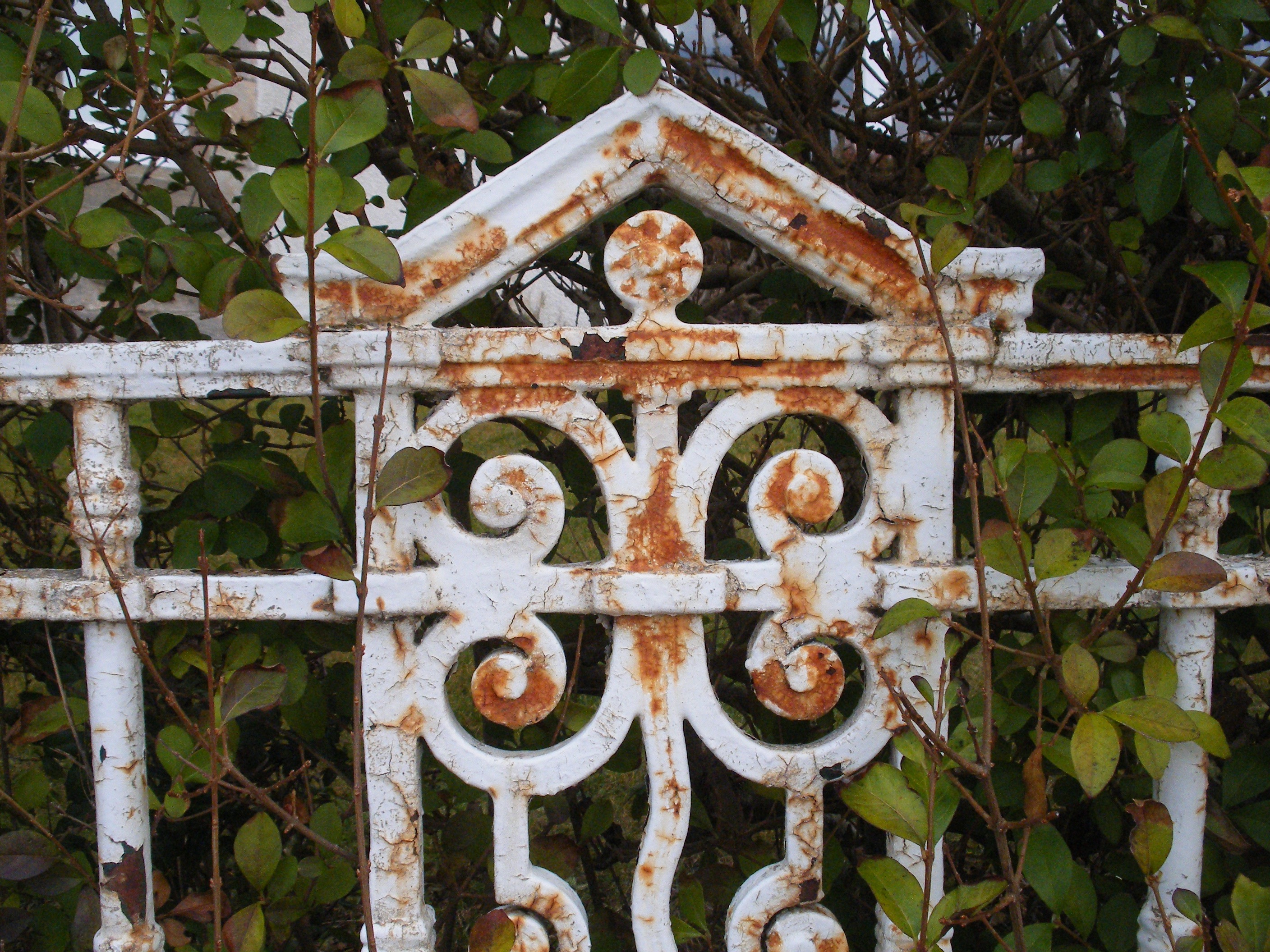 Gate in Findhorn